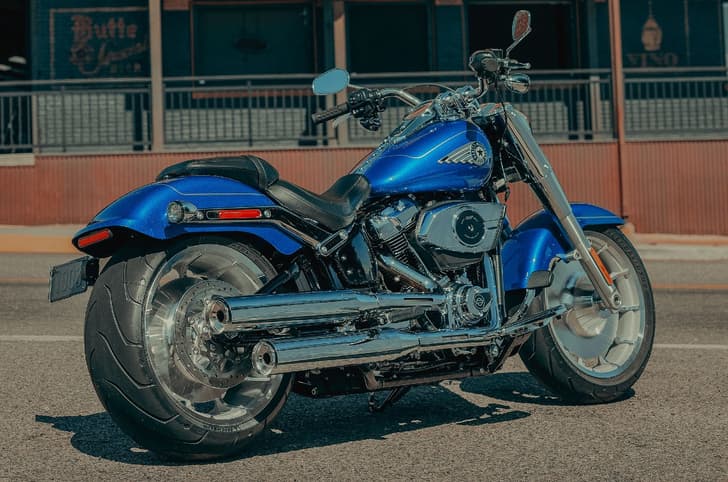 Harley-Davidson Fat Boy rear right static in field